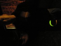 P3124010 1280 X 1024